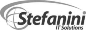 stefanini.png